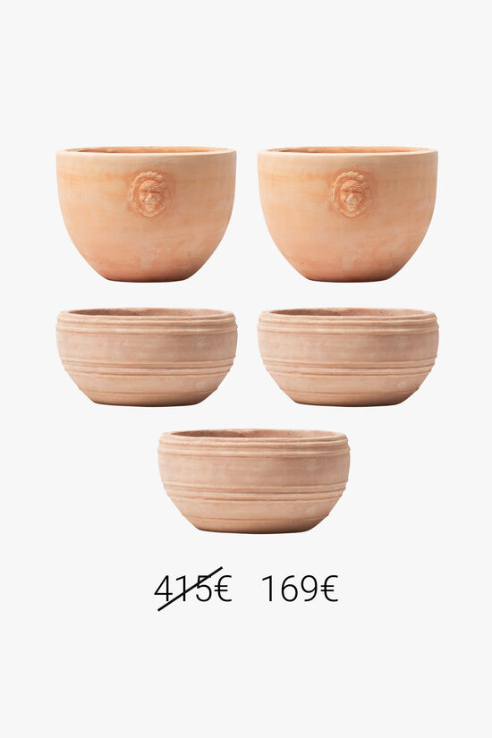 5 puķu podu komplekts ar lauvu dekoriem no Romantika sērijas